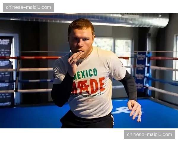 卡内洛·阿尔瓦雷斯确认将于2026年5月迎战WBA强制挑战者