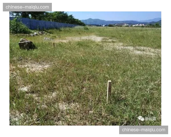 走进马赛训练基地：他们如何用“小型区域转换游戏”提升球员决策速度