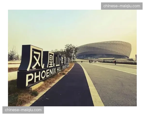 成都凤凰山专业足球场周末面向市民免费开放